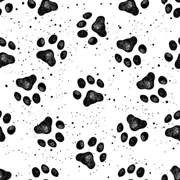 Wall Mural - Paw of dog print vector Vexture