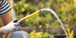 splashing water from a hose in the garden