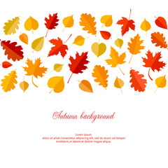 Wall Mural - Autumn background with leaves.