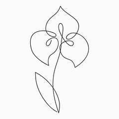 Poster - Iris one line drawing. Continuous line flower. Hand-drawn illustration for logo, emblem and design card, poster. Vector.