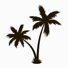 Poster - Palm tree silhouette. Realistic tropical plant. Vector illustration.