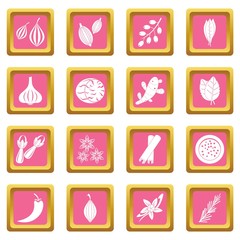 Canvas Print - Spice icons pink