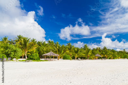 Maldives paradise beach. Perfect tropical island. Beautiful palm trees and tropical beach. Moody blue sky and blue lagoon. Luxury travel summer holiday background concept.