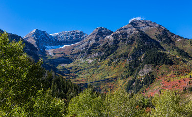 Wall Mural - Fall Mointain Colors in Northern Utah