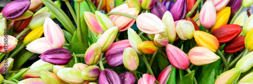 rozne-tulipany-tworzace-jednolite-tlo