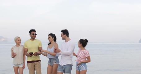 Wall Mural - People On Beach Talking Using Cell Smart Phones, Young Tourists Group Networking Online Laughing Slow Motion 60