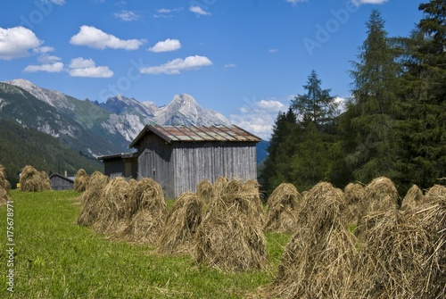 Drying Hay And Hay Barn Mt Freispitze At Back Near Pettnau Am