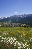 Fototapeta Natura - Fiss, Tyrol, Austria, Europe