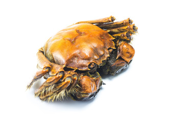 Sticker - steaming shanghai hairy crabs, chinese cuisine