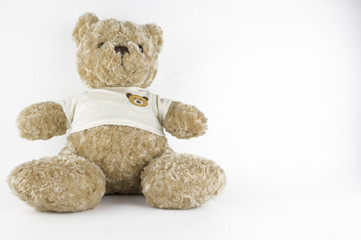 teddy bear on white background.