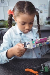 Wall Mural - Focused elementary student examining circuit board