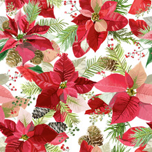 Christmas Winter Poinsettia Flowers Seamless Background, Floral Pattern Print In Vector