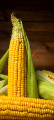 Wall Mural - Ripe yellow sweet corn cob on a wooden table close-up, border design panoramic banner 