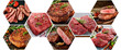 Mosaic of different sorts of meat