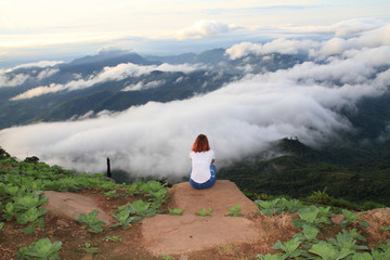 Wall Mural - beautiful blue sky and fog cloud view mountain landscape natural outdoor background