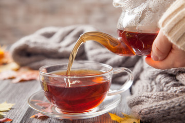autumn still life: tea on maple leaves on a wooden table