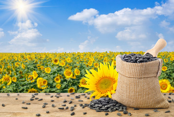 Wall Mural - sunflower seeds and field