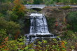 Albion Waterfalls
