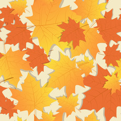 Wall Mural - Autumn Seamless Pattern Background Yellow Maple Leaves Ornament Fall Season Flat Vector Illustration