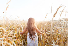 Beauty little girl outdoors enjoying nature wheat field. Beautiful girl in white dress running on the autumn field at sunset light.