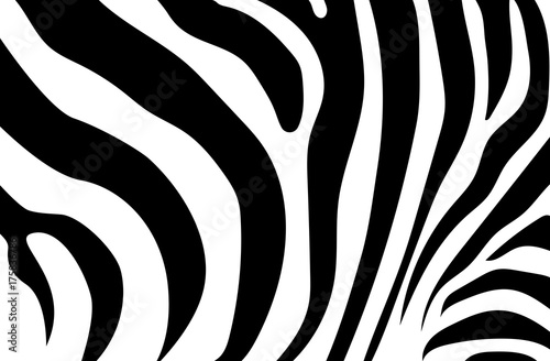 Dekoracja na wymiar  streszczenie-tlo-skory-zebry-kolor-bialy-i-czarny-dzikie-zwierzeta