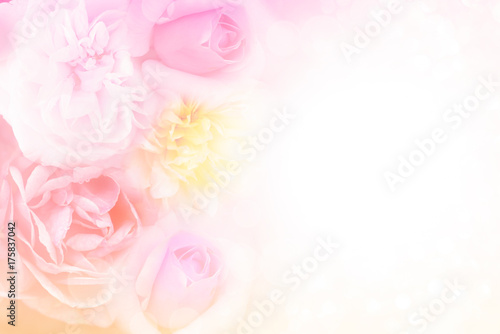 Beautiful Soft Pink Purple And Yellow Roses Background In Pastel Tone For Valentine Or Wedding Card Poster Doucefleur