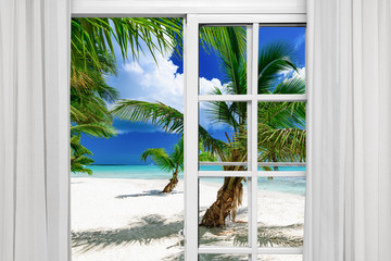 Wall Mural - window open palm beach