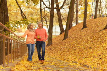 Sticker -  couple walking  in the park 