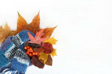 autumn colors/ bouquet of leaves and berries in a warm scarf 