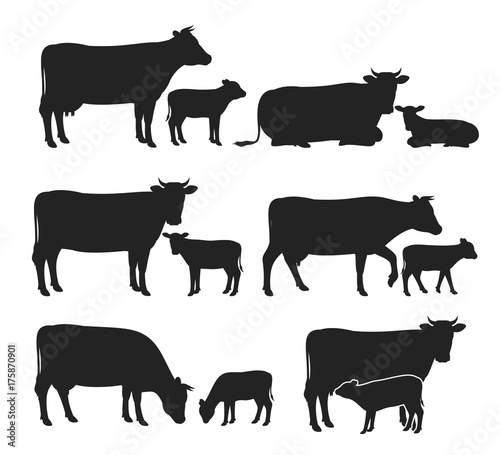 Fotomural Vector cow and calf silhouettes collection