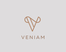 Elegant Line Curve Vector Logotype. Premium Letter V Logo Design. Luxury Linear Creative Monogram.