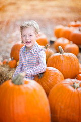 Canvas Print - kid at pumpkin patch