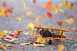 Autumn leaves blowing in the wind across a yellow model airplane
