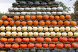 Autumn harvested pumpkins background