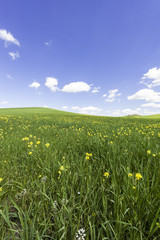 Canvas Print - Fields, pastures and farmhouse