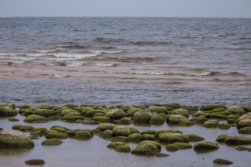 A beautiful landscape of a beach with stones. Baltic sea shore with rocks. An autumn scenery at the sea.