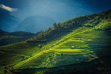 Rice Fields On Terraced With Wooden Pavilion At Sunrise In Mu Cang Chai, YenBai, Vietnam.