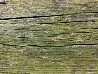 Photo of an old weathered greenish dry piece of wood board near outside water, footbridge.