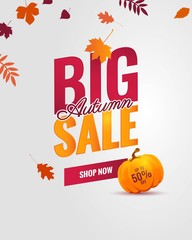 Big autumn sale poster. Beautiful autumn background with falling leaves and pumpkin. Vector illustration