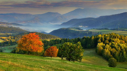  Fall in Slovakia. Meadows and fields landscape. Autumn color cherry trees.