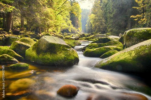 Long exposure of river Vydra in Bohemian Forest at colourful autumn, Sumava, Böh Tablou Canvas