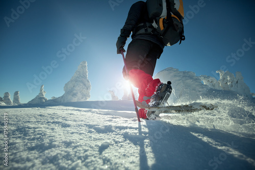 Plakat Urlop zimowy w górach Harz, wędrowcy biegają po śniegu w głębokim śniegu.