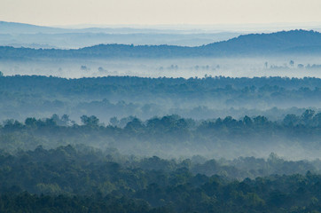 Wall Mural - Fog flows through the valleys and hills below a scenic overlook in the Talladega National Forest in Alabama, USA