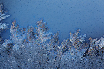 Wall Mural - Frosty Glass Ice Background 