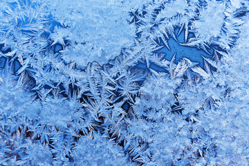 Wall Mural - Frosty Glass Ice Background 