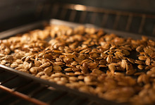 Roasted pumpkin seeds in the oven