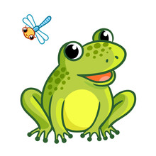 Frog Is Sitting On A White Background. Cute Illustration With Dragonfly And Frog In A Cartoon Style.