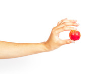 Hand Hold A Mini Apple