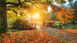 canvas print picture - Beautiful autumn scenery in park.