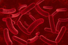 Bacteria On Red Background, 3D Illustration